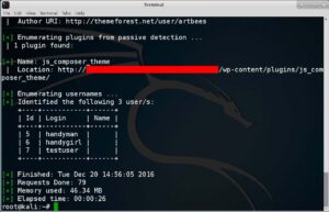 How to Hack a WordPress Site with WPScan in Kali Linux - Enumerate User