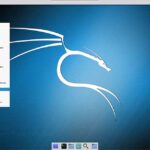 Install VNC Viewer on Raspberry Pi with Kali Linux-session and startup location