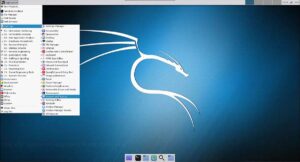 Install VNC Viewer on Raspberry Pi with Kali Linux-navigate to session and startup