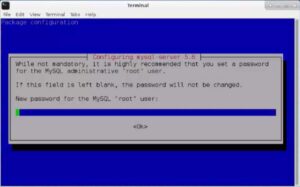 Installing Full Version of Kali Linux on Raspberry Pi 3 - setting mysql password